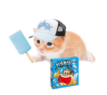 ゲイリーにありがとうと言っての元ネタは？猫ミーム大流行の３つの理由を解説！