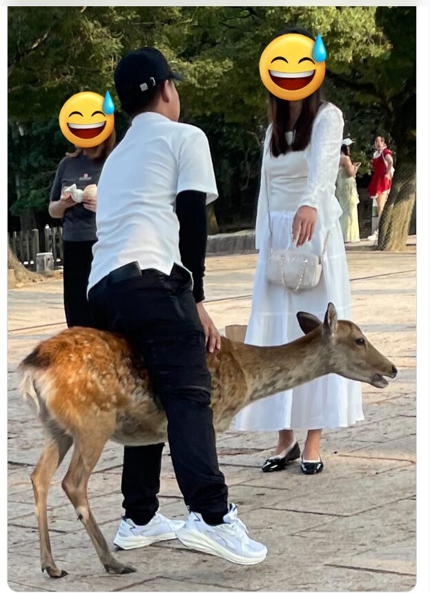 へずまりゅうの鹿虐待の画像は合成だった？捏造の目的は何？