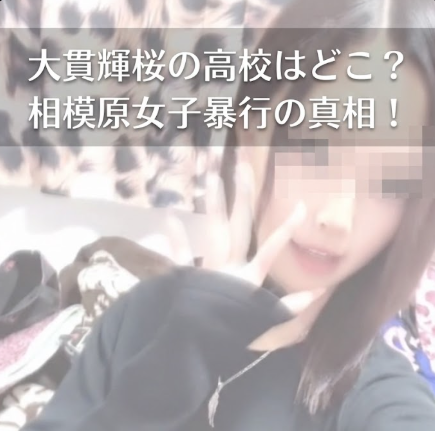 【相模原女子高生いじめ】大貫輝桜の高校はどこ？暴行動画の真相まとめ