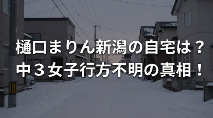 アイキャッチ画像 新潟行方不明事件