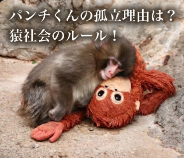 アイキャッチ画像 パンチくん